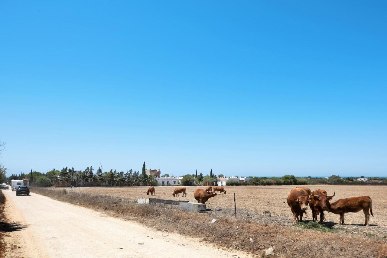 Вілла Casa Mora - Vejer, El Palmar Вехер-де-ла-Фронтера Екстер'єр фото